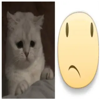 😔 猫, 难过, 表情符号, 可爱, 小猫, 猫科动物 telegram sticker