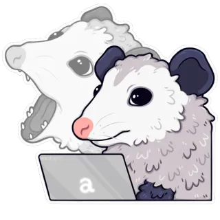💻 опоссум, компьютер, животное, милый, ноутбук, грызун whatsapp sticker