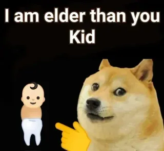 👶 Doge Doge meme I am elder than you Kid doge, meme, elder, kid, funny, text, internet culture telegram sticker