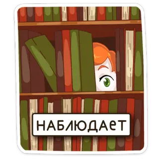 👀 НАБЛЮДАЕТ livro, estante, olhos, espiando, observando, observar telegram sticker
