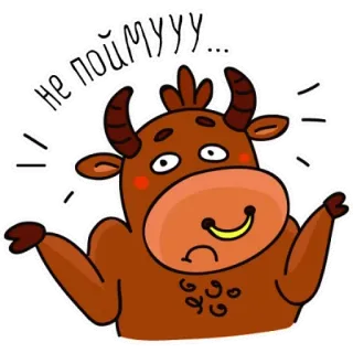 🐮 НЕ ПОЙМУУУ... byk, zwierzę, zdezorientowany, pytanie, kreskówka, naklejka telegram sticker