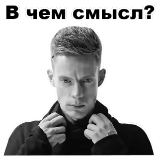 😐 В чем смысл? 남자, 초상화, 질문, 러시아어, 텍스트, 의미 telegram sticker