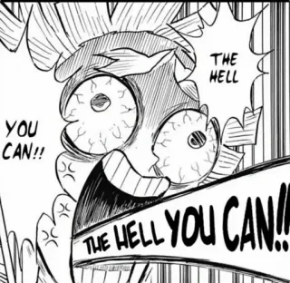 😡 THE HELL YOU CAN!! anime, meme, funny, expression, anger, shocked telegram sticker