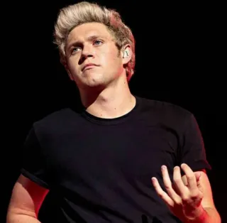 🌿 Niall Horan cantante, One Direction, músico, celebridad, Niall Horan, música pop telegram sticker