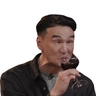 🍷 man, wine, glass, drinking, portrait, alcohol whatsapp sticker