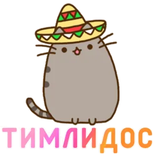 🌶 ТИМЛИДОС кот, сомбреро, мультфильм, милый, животное, мексиканская шляпа whatsapp sticker
