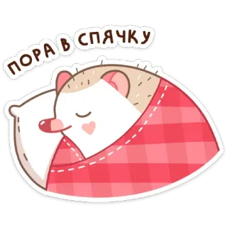😴 ПОРА В СПЯЧКУ riccio, dormire, carino, animale, ibernare, cuscino, coperta telegram sticker