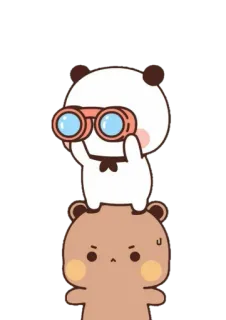 🍼 panda, niedźwiedź, lornetka, słodki, kreskówka telegram sticker