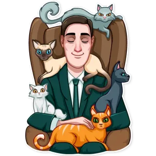 🧘‍♂ 남자, 고양이, 애완 동물, 동물, 의자, 휴식, 우정 telegram sticker