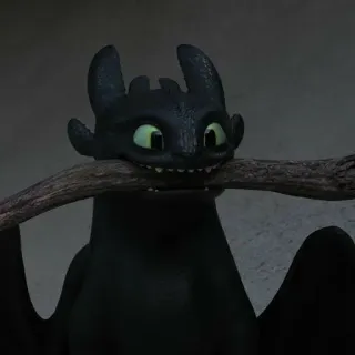📍 Toothless How to Train Your Dragon drache, schwarz, nachtschatten, süß, tier, film telegram sticker