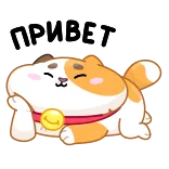 Кот Амур @TgEmojis telegram emojis 😏