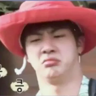 🤢 룩
큭 kpop, jin, bts, lustiges gesicht, meme telegram sticker