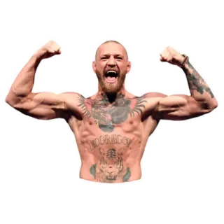 💪 Conor McGregor 康纳·麦格雷戈, MMA, 格斗士, 肌肉, 冠军, UFC, 体育, 运动 telegram sticker
