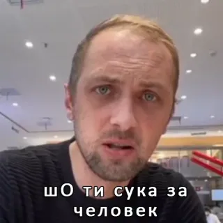 😾 шо ти сука за человек telegram sticker
