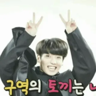 😅 구역의 토끼는 나 kpop, 和平手势, 亚洲人, 男人 telegram sticker