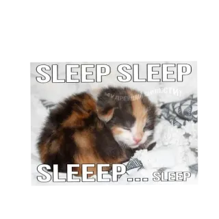 🐱 SLEEP SLEEP
SLEEEP... SLEEP chaton, chat, sommeil, dormir, mignon, animal telegram sticker