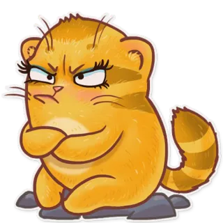 😕 gato, zangado, desenho animado, adesivo, fofo, animal, felino telegram sticker