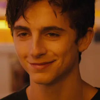 🙃 Timothée Chalamet актер, портрет, знаменитость, мужчина, человек whatsapp sticker