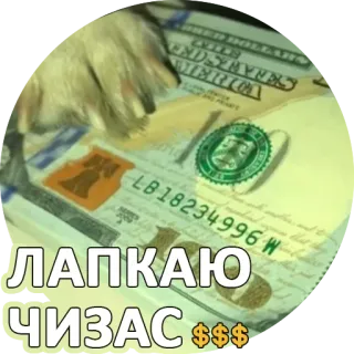 🤑 ЛАПКАЮ ЧИЗАС $$$ soldi, contanti, russo, dollari, valuta, finanza whatsapp sticker