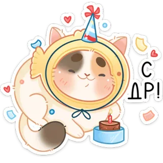 🍰 С ДР! gato, cumpleaños, lindo, celebración, fiesta, pegatina, ruso whatsapp sticker