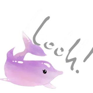 Dolphin little world telegram stickers
