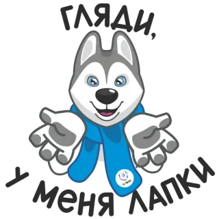 🐾 Hund, Maskottchen, Cartoon, Tier, niedlich, Husky, blauer Schal telegram sticker