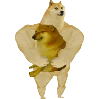 🙃 doge, meme, musculoso, músculo, perro, divertido telegram sticker