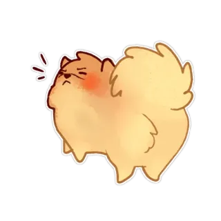 😖 สุนัข, ปอมเมอเรเนียน, น่ารัก, โกรธ, ปุย, สัตว์ telegram sticker