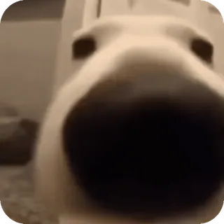 👀 Walter the Bull Terrier whatsapp sticker