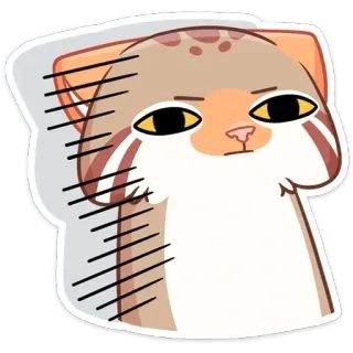 😐 chat, animal, autocollant, illustration, mignon, mème telegram sticker