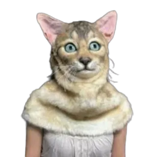 🐱 Katze, Maske, Tier, Lustig, Kostüm telegram sticker