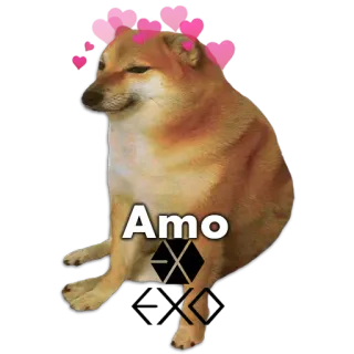 🐶 Amo หมา, หัวใจ, มีม, ชีมส์, โดจ whatsapp sticker
