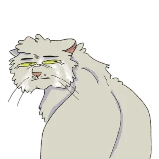 😒 Katze, Tier, Haustier, Aufkleber, Illustration telegram sticker