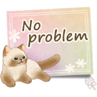 🐱 No problem gato, sin problema, lindo, animal, pegatina whatsapp sticker