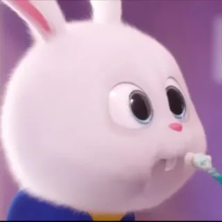 🐰 Snowball The Secret Life of Pets coniglio, animale, cartone animato, animale domestico, carino, animato whatsapp sticker