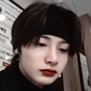 🦊 whatsapp sticker