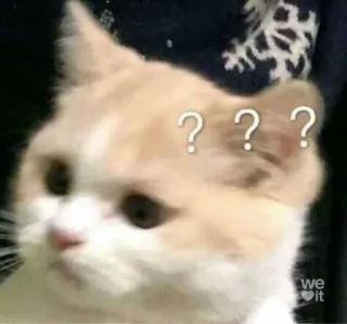 😸 ??? kat, verward, vraagtekens, meme, dier, huisdier telegram sticker