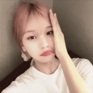 🍔 süß, Mädchen, koreanisch, Pose, Ausdruck telegram sticker
