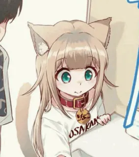 🧡 OSAKAN Anime, Kocica, Osakan telegram sticker