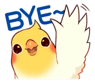 👋 BYE~ pássaro, calopsita, adeus, tchau, animal, acenando, fofo, despedida telegram sticker