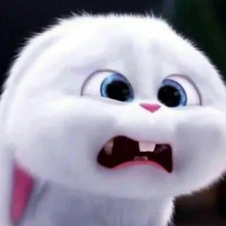 🐾 Snowball The Secret Life of Pets coniglio, cartone animato, animale, carino whatsapp sticker