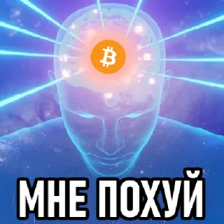 😇 МНЕ ПОХУЙ Bitcoin, mente, cripto, brillo, cerebro whatsapp sticker