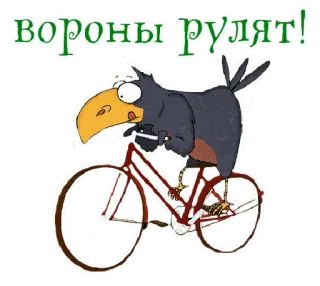 🦅 вороны рулят! อีกา, จักรยาน, การ์ตูน, นก, สัตว์ telegram sticker