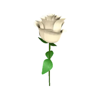 🌹 flor, rosa, blanco, naturaleza, planta, floral telegram sticker