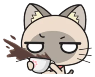 😒 cat, coffee, siamese, spilled, upset, tea whatsapp sticker