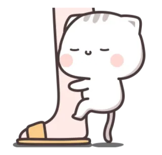 🍼 chat, mignon, animal, câlin, endormi, chaton telegram sticker