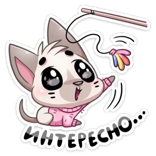😍 ИНТЕРЕСНО... gato, gatinho, fofo, brincando, interesse, interessante, adesivo whatsapp sticker