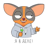 СберКот. Больше, чем кот! @tgsticker whatsapp stickers