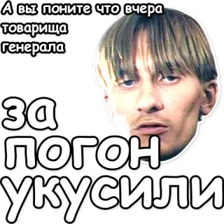 🤕 А вы поните что вчера товарища генерала за погон укусили militair, generaal, russisch, officier, uniform telegram sticker