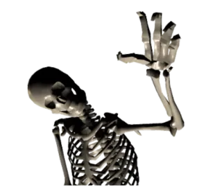 ✋ scheletro, halloween, ossa, anatomia, spaventoso telegram sticker